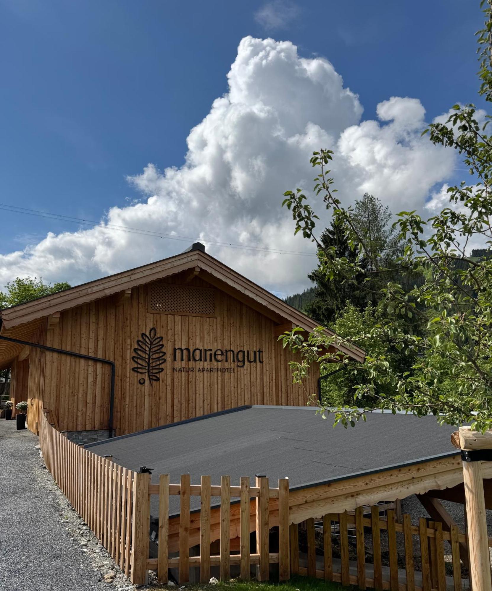 Mariengut - Natur Aparthotel Kramer Wagrain Buitenkant foto